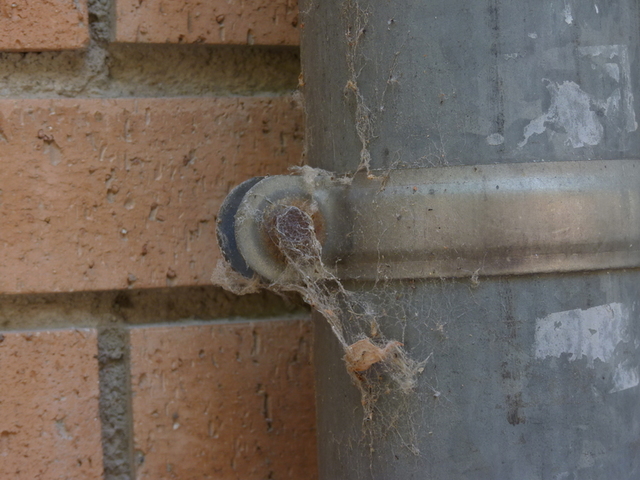 No s'ha trobat l'arxiu